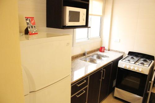 Kuchyň nebo kuchyňský kout v ubytování Villa Cabrera Apart and Suites