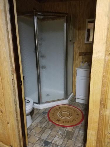 a bathroom with a shower and a toilet at Red Fern Plantation Lodge in Statesboro