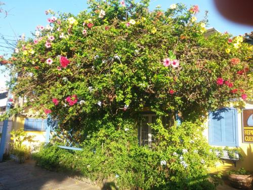 a large bush of flowers on the side of a house at Pousada Repouso do Guerreiro in Búzios