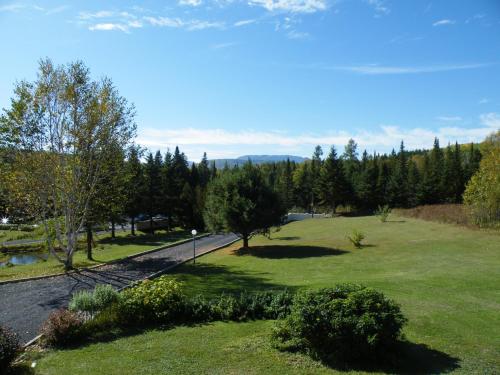 a view of a park with trees and a road at Le Relais des Hautes Gorges in Saint Aime Des Lacs