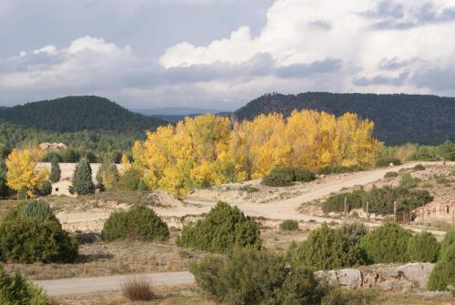 Φυσικό τοπίο κοντά σε αυτό το διαμέρισμα