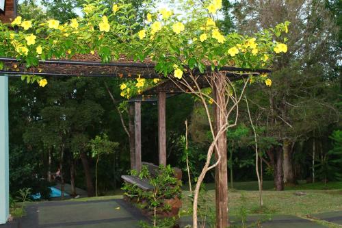 a tree with yellow flowers in a park at Complejo Paranay in Puerto Paranay