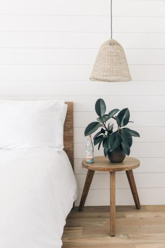 a potted plant on a table next to a bed at The Surfrider Malibu in Malibu