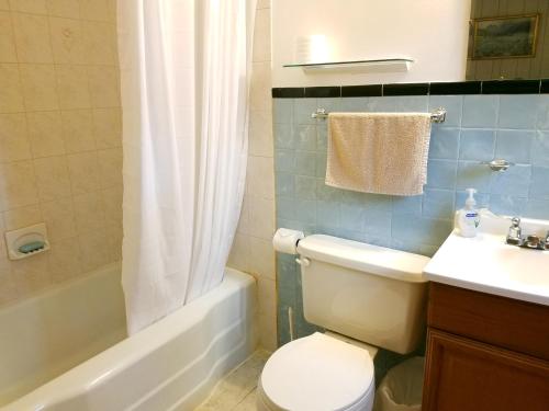 a bathroom with a toilet and a tub and a sink at Black Bear Lodge in Prattsville