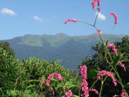 Photo de la galerie de l'établissement Le Domaine du Grand Cellier Gîtes Appartement en Savoie, à Tournon
