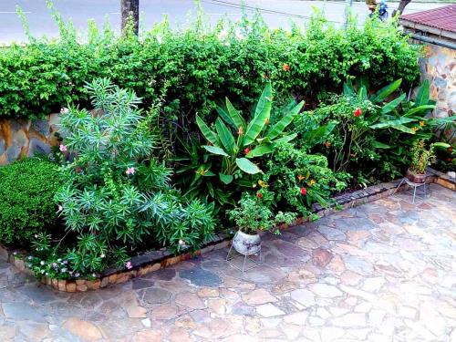 a garden with plants and flowers on a patio at Hotel Chez Fanny in Palimé