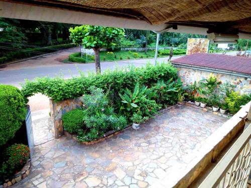 a garden with plants and flowers on a patio at Hotel Chez Fanny in Palimé