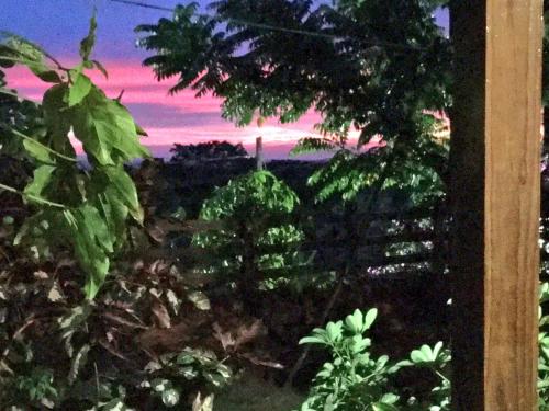a painting of a sunset from a garden with trees at Da Fabio in Negril