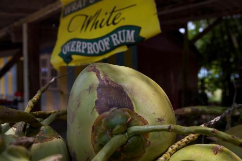 a close up of a bunch of melons in a basket at Da Fabio in Negril