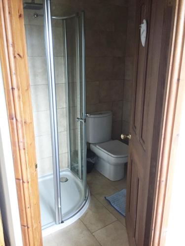 a bathroom with a shower and a toilet at Pellcroft Cottage in Holmfirth
