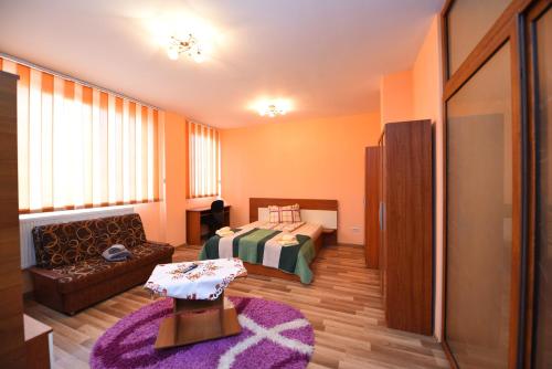 a living room with a bed and a couch at Apartament TRIDENT 2 in Haţeg