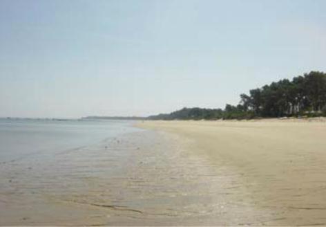 a sandy beach with trees in the distance at Hotel Soltroia - Foz Do Sado in Troia