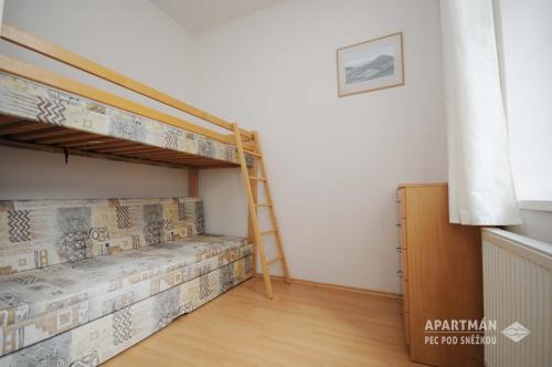 a bedroom with a bunk bed with a ladder at Apartmán Pec pod Sněžkou in Pec pod Sněžkou