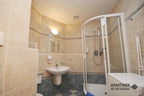 ペツ・ポト・スニェシュコウにあるApartmán Pec pod Sněžkouのバスルーム(シャワー、洗面台、トイレ付)