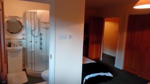 a bathroom with a shower and a toilet and a sink at Bluebell Cottage in Tarbert