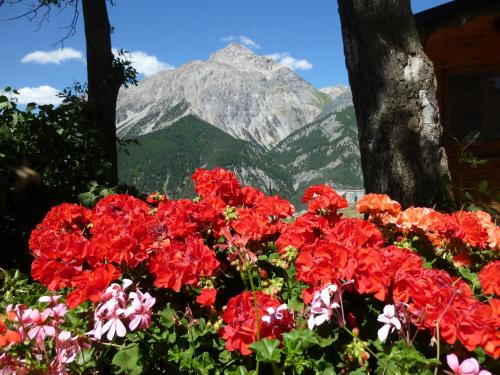 Gallery image of Agriturismo Barba Gust in Cesana Torinese