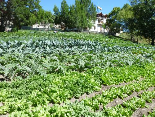 Gallery image of Agriturismo Barba Gust in Cesana Torinese