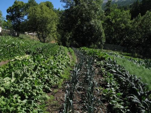 Gallery image of Agriturismo Barba Gust in Cesana Torinese