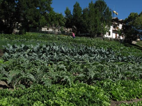 Gallery image of Agriturismo Barba Gust in Cesana Torinese