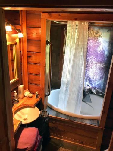 a bathroom with a tub and a sink and a shower at Creekwalk Inn Bed and Breakfast with Cabins in Cosby
