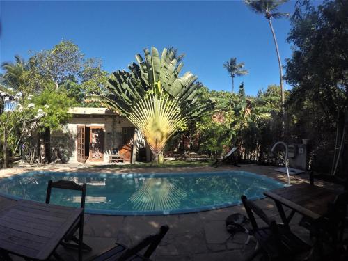 uma pequena piscina com uma palmeira em frente a uma casa em Imbassaí Pousada Hostel Lujimba em Imbassaí