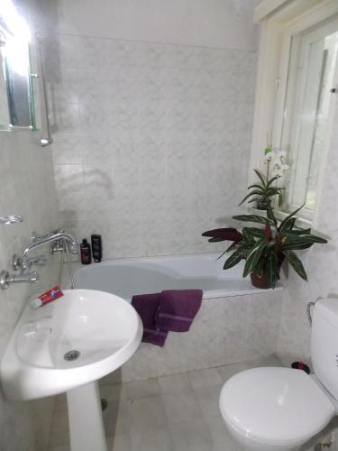 a bathroom with a sink and a toilet and a tub at Boeritza Hotel Complex in Vladaya
