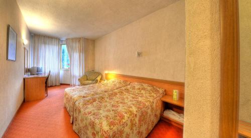 a hotel room with a bed and a desk at Plaza Family Hotel in Smolyan