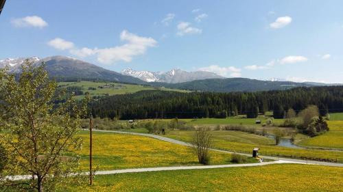 Gallery image of Ferienwohnungen Graggaber in Mariapfarr