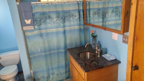 a bathroom with a sink and a shower curtain at Scott Creek Farm in Happy Valley