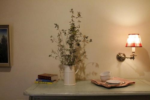 a table with a vase with a plant on it at Country Home in Tuscany in Colle Val D'Elsa