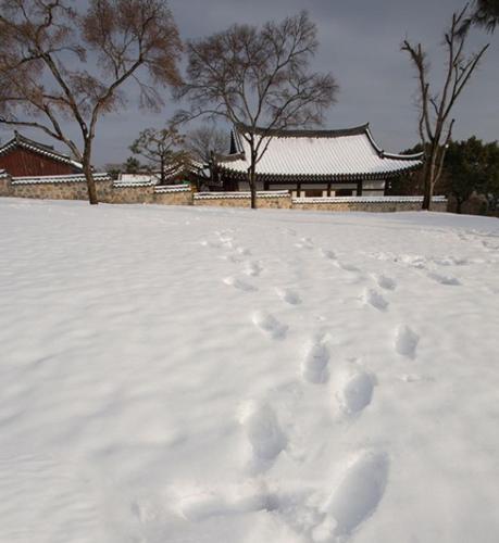 冬のJinju GnG Motelの様子