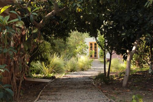 a garden path with a house in the background at Organica Lodge Hotel Boutique in Vicuña