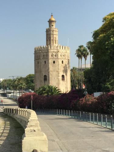 Betis a la Orilla del Guadalquivir & Vistas a la Giralda