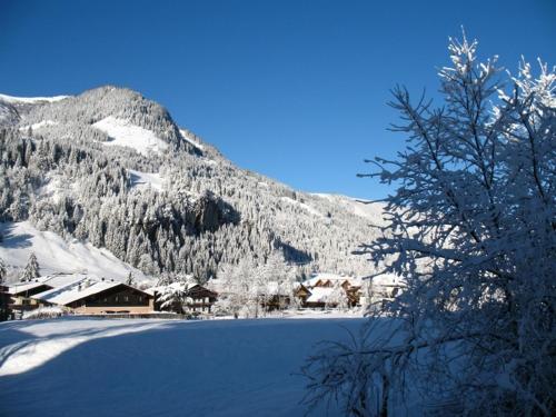 a snow covered mountain with a house in the background at Zimmer & Appartements Schwarzenbacher Sonja & Konrad in Kleinarl