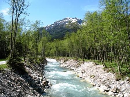 a river in the woods with a mountain in the background at Zimmer & Appartements Schwarzenbacher Sonja & Konrad in Kleinarl