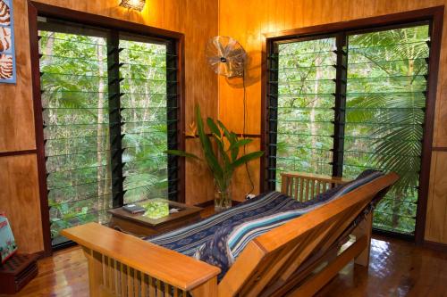 a room with a bench in front of two windows at Wildwood in Cape Tribulation