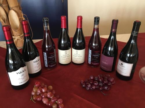 a group of wine bottles and grapes on a table at Atlantis Palace Hotel in Mascali