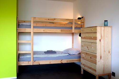 a bunk bed with a ladder next to a green wall at Iglusaq Lodge in Veysonnaz