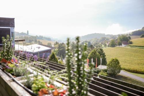 Nespecifikovaný výhled na hory nebo výhled na hory při pohledu z hotelu
