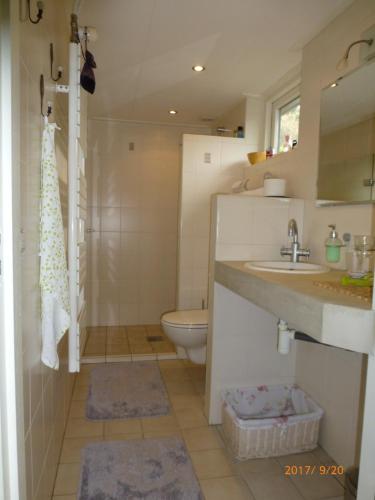 een badkamer met een wastafel en een toilet bij Wiersse 68 in Doetinchem