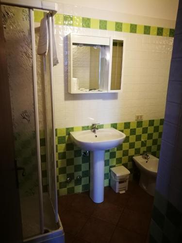 a bathroom with a sink and a mirror and a toilet at Il Boscaiolo in Torniella