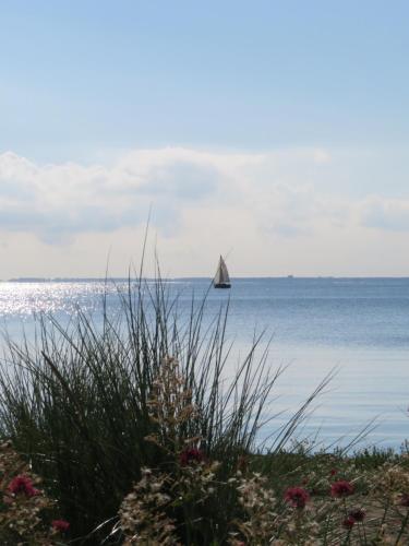 a sail boat in the water with a beach at Luxurious Water Villa in Uitdam