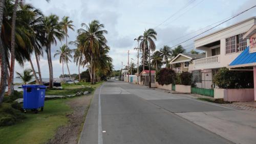 an empty street with palm trees and a trash can at Posada Nativa Miss Nova in San Andrés