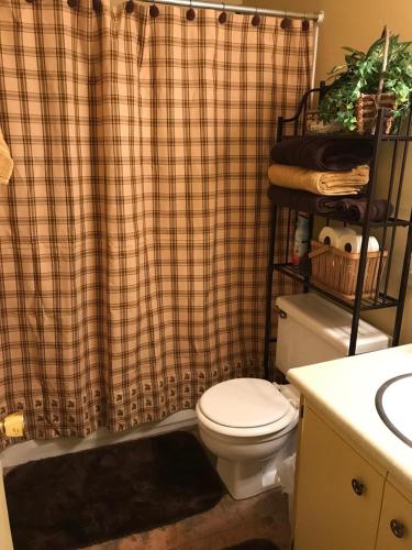 a bathroom with a toilet and a shower curtain at Adair Springs Cabin in Pinetop-Lakeside