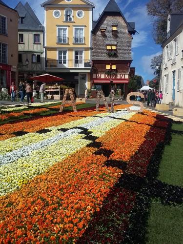 a large field of flowers in front of a building at Logis Muraille Romaine, Centre Historique, Lit queen size in Le Mans