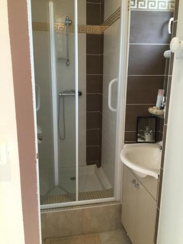 une salle de bain avec douche et lavabo dans l'établissement Gîte climatisé de La Haute Rue, à Touvois