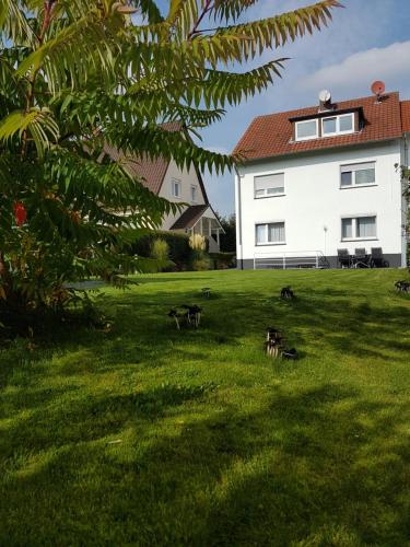 a group of dogs in the grass in front of a house at Pension Harleshausen in Kassel