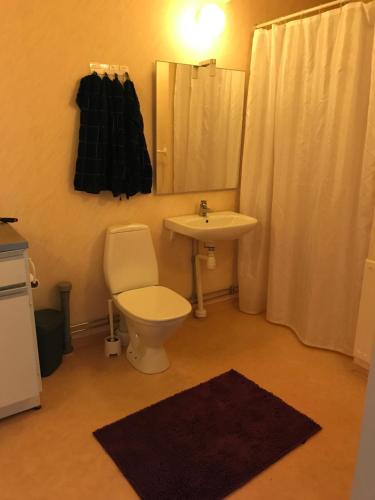bagno con servizi igienici, lavandino e specchio di Skärplinge Gästis B&B a Skärplinge