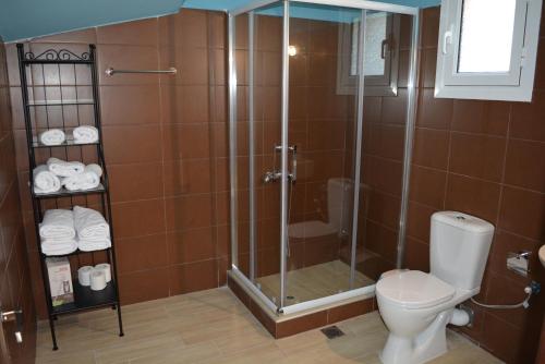 ein Bad mit einer Dusche, einem WC und Handtüchern in der Unterkunft Aqua Terra in Spárton