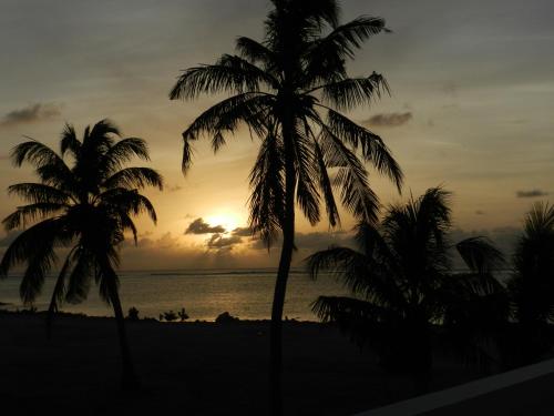 two palm trees on the beach at sunset at Faza View Inn, Maafushi in Maafushi